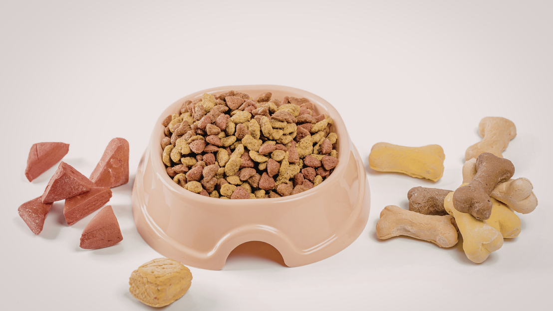 Variedad de comida para mascotas