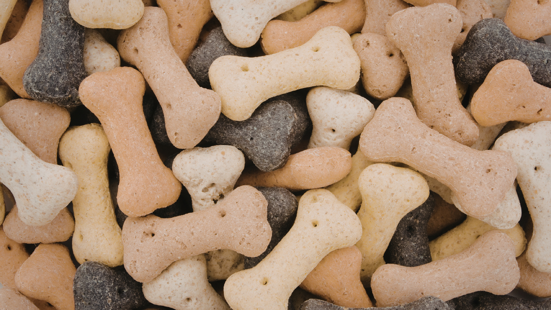 Snacks para perros y gatos
