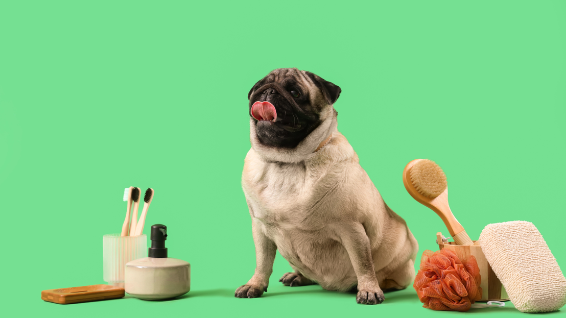 Productos de higiene para mascotas
