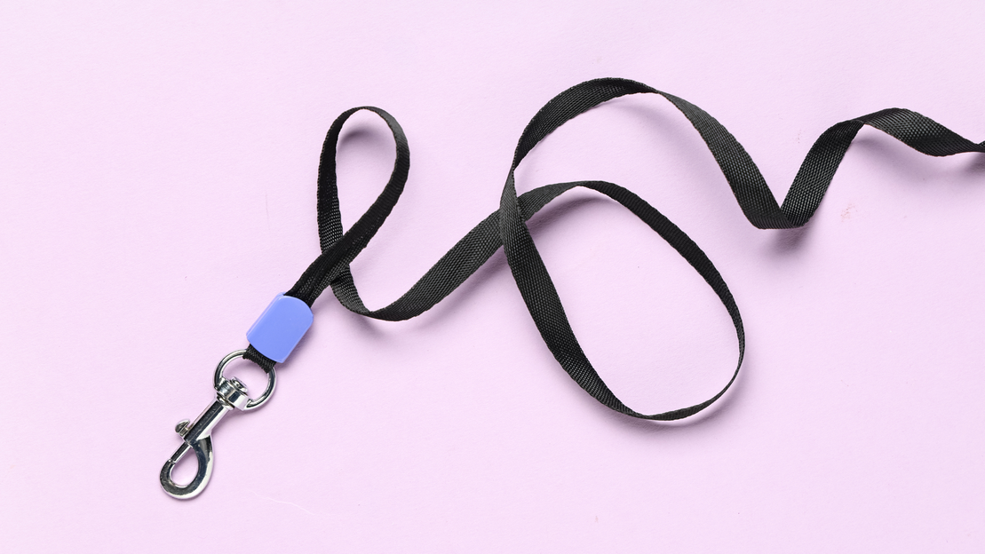 Accesorios resistentes para mascotas