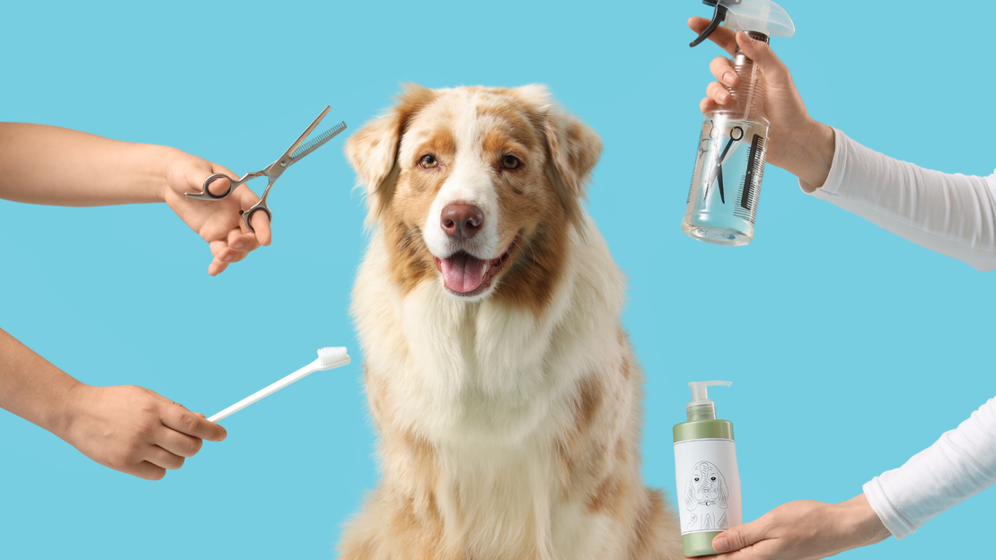 Cepillos y peines para mascotas