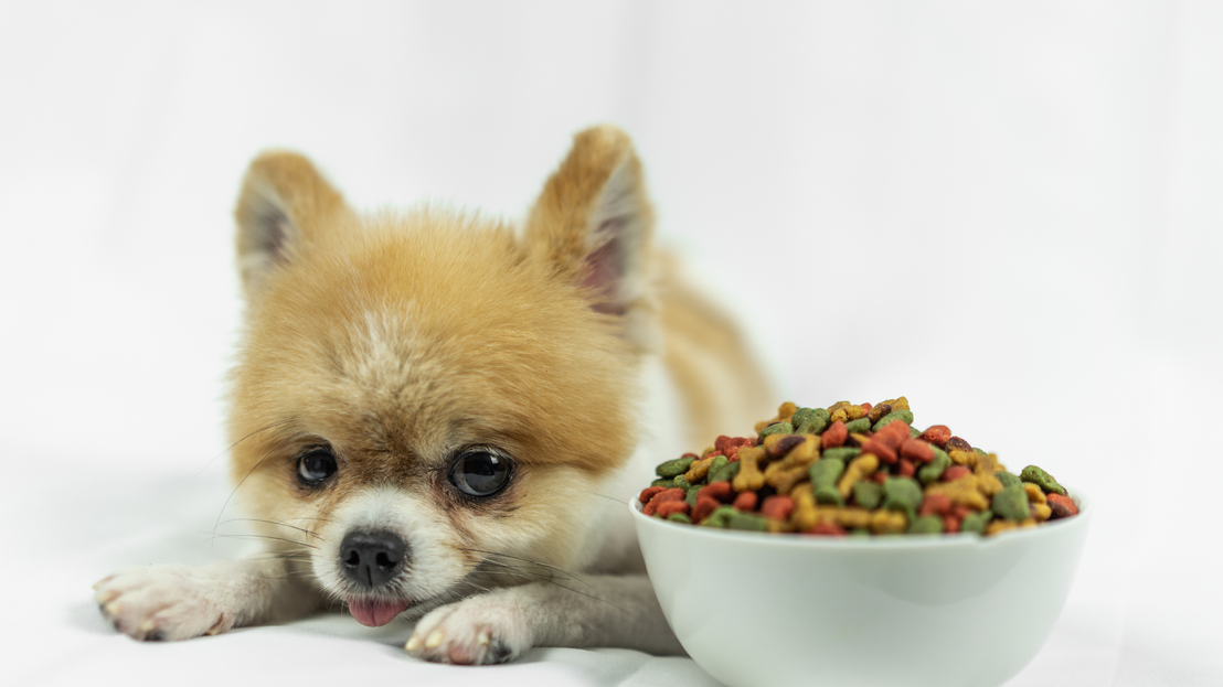 Sacos de comida para perros y gatos en estantería